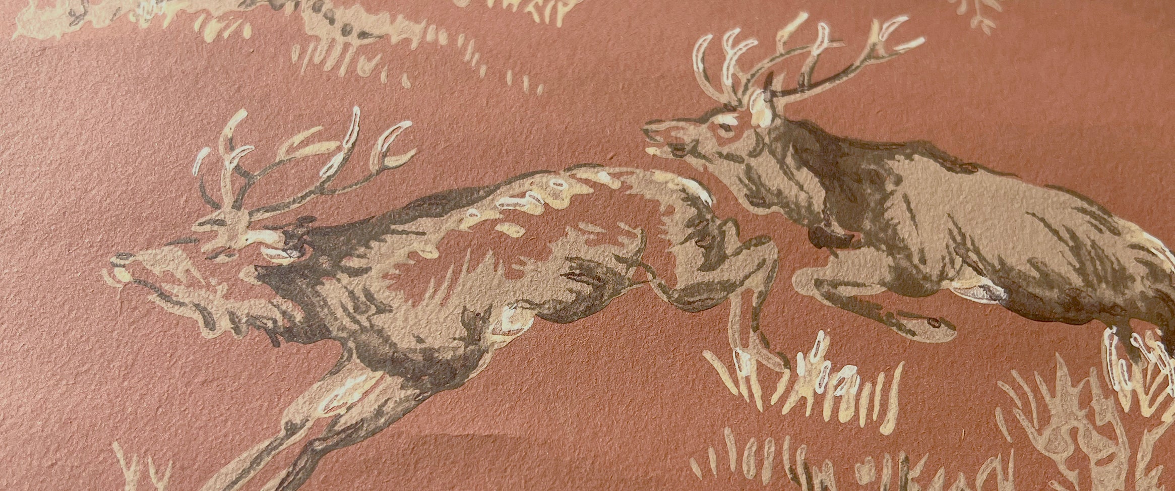 Tapeter med djurmotiv