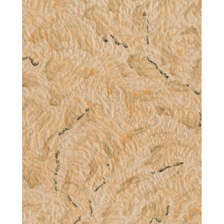 Vintagetapet 66089 (Tr 197)