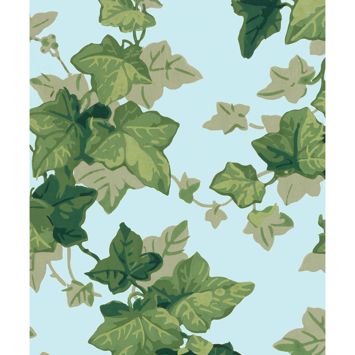 Tapet Oxford Ivy - Sky Blue