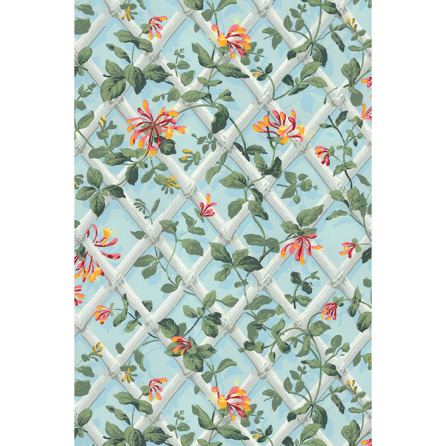 Tapet Honeysuckle Trellis - Original