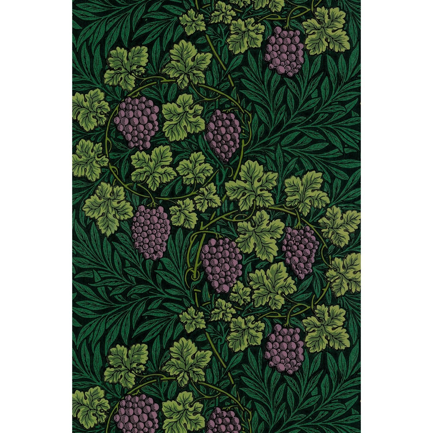 Tapet Morris Vine - Green - Tapetorama