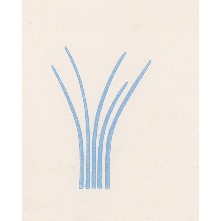 Vintagetapet Vassrugg