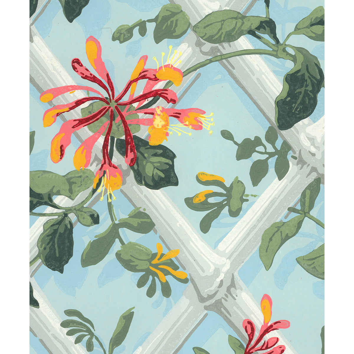 Tapet Honeysuckle Trellis - Original
