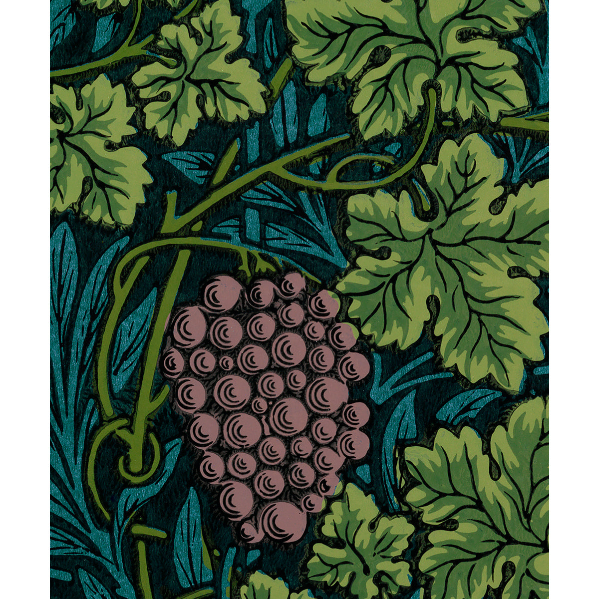 Tapet Morris Vine - Teal
