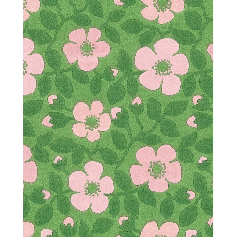 Tapet Sommarblommor - Tapetorama