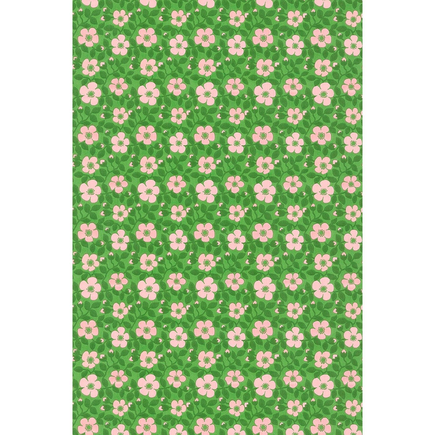 Tapet Sommarblommor - Tapetorama